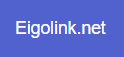 NetWising - Eigolink